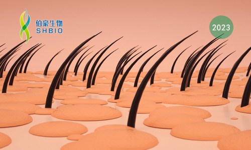 mRNA-seq 项目文章 | 钼酸钙纳米颗粒 3D 生物打印于毛发再生的研究