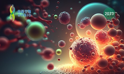 高分文献一作分享会 | 单细胞 & 蛋白质组学技术在生物标志物研究中的应用进展