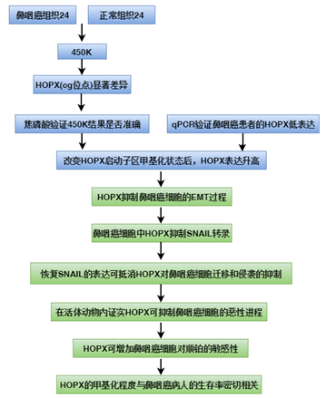 伯豪客户甲基化研究揭示鼻咽癌治疗新靶点研究思路