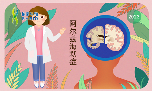 文献解读 | 阿尔茨海默病脑血管系统的单核多区转录组分析