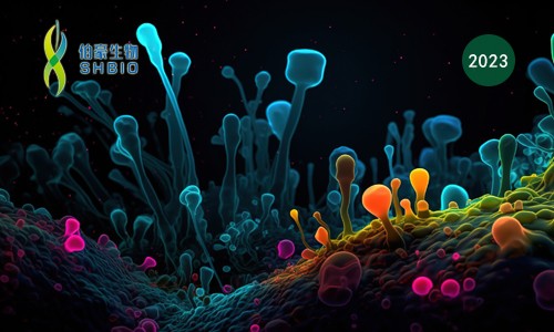 高分文献一作分享会 | 单细胞 & 蛋白质组学技术在生物标志物研究中的应用进展