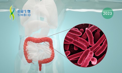 转录组测序项目文章 | 人类肠道卵形拟杆菌在膳食纤维素糖降解中重要作用