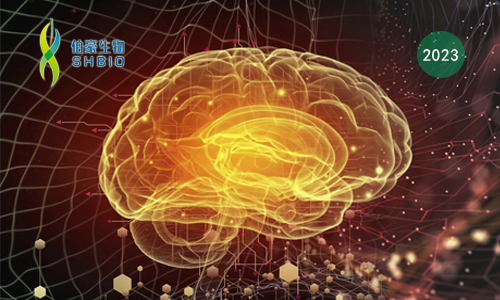 文献解读 | 单细胞分辨率下人类大脑皮层发育的基因调控动力学