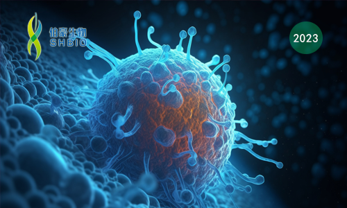 文献解读 | CAR-NK 细胞治疗后代谢适应性的丧失会导致肿瘤产生耐药性，并且可以通过细胞因子工程来克服