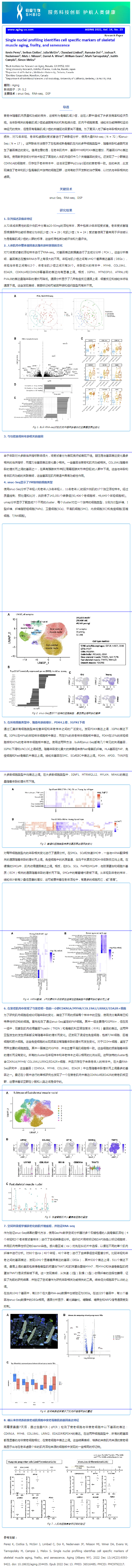 文献解读 _ 单细胞核图谱识别骨骼肌老化、脆弱和衰老的细胞特异性标记物