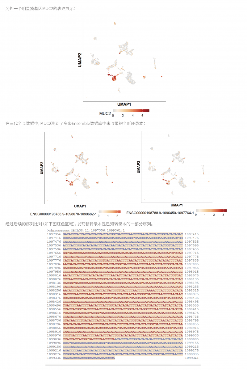 单细胞全长转录组测序技术简介 11