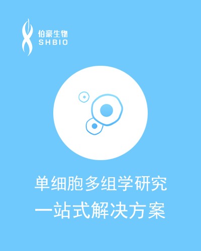 单细胞组学研究整体解决方案！