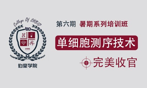 伯豪学院 | 暑期培训班第 6 期—单细胞测序技术