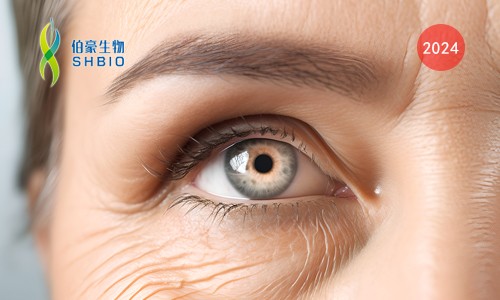 项目文章 | 单细胞核转录组测序揭示放疗诱导细胞衰老重塑胶质瘤免疫微环境与肿瘤复发机制研究