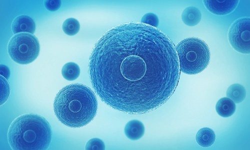 首届西南单细胞组学技术应用论坛