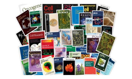 2015 年 12 月 16 日