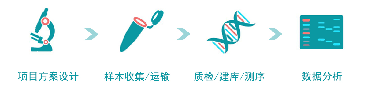 伯豪流程