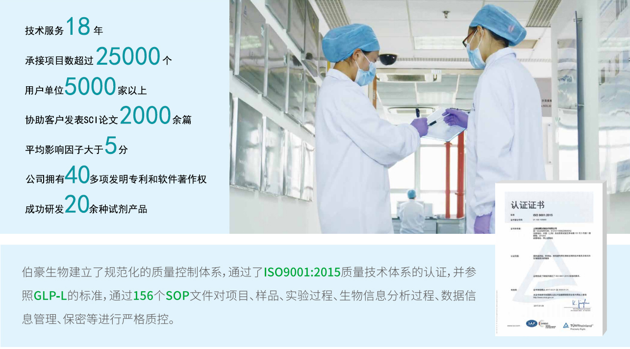 伯豪优势