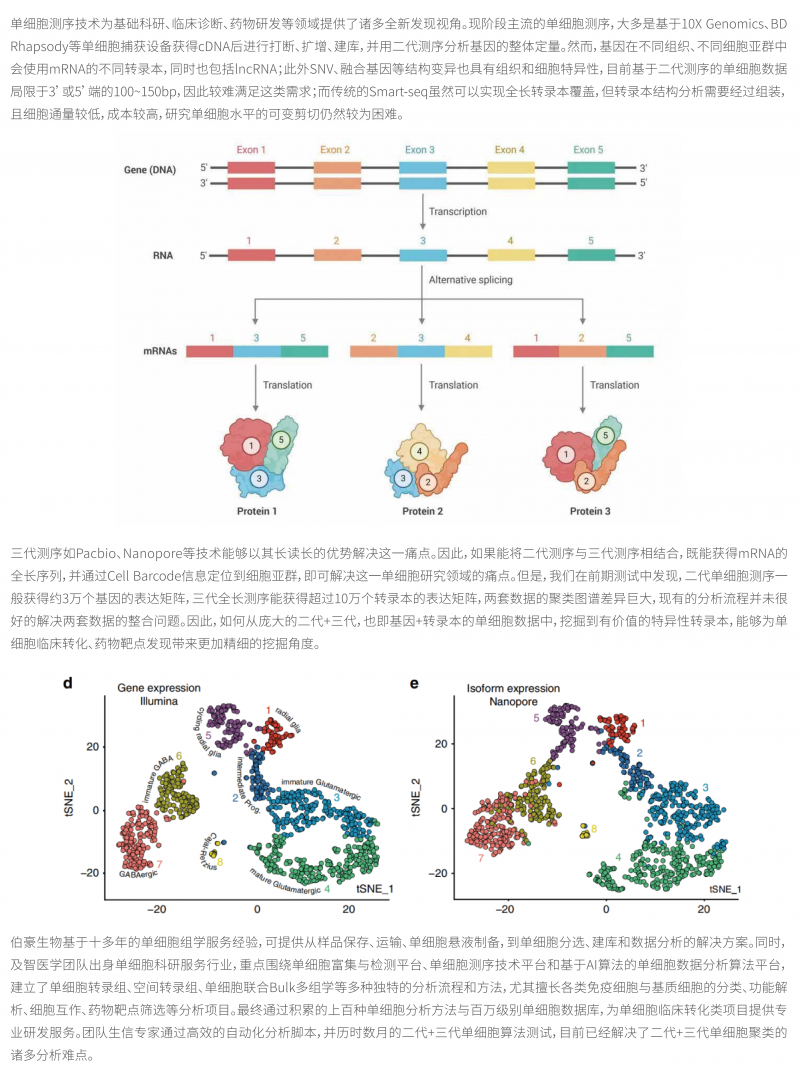 单细胞全长转录组测序技术简介
