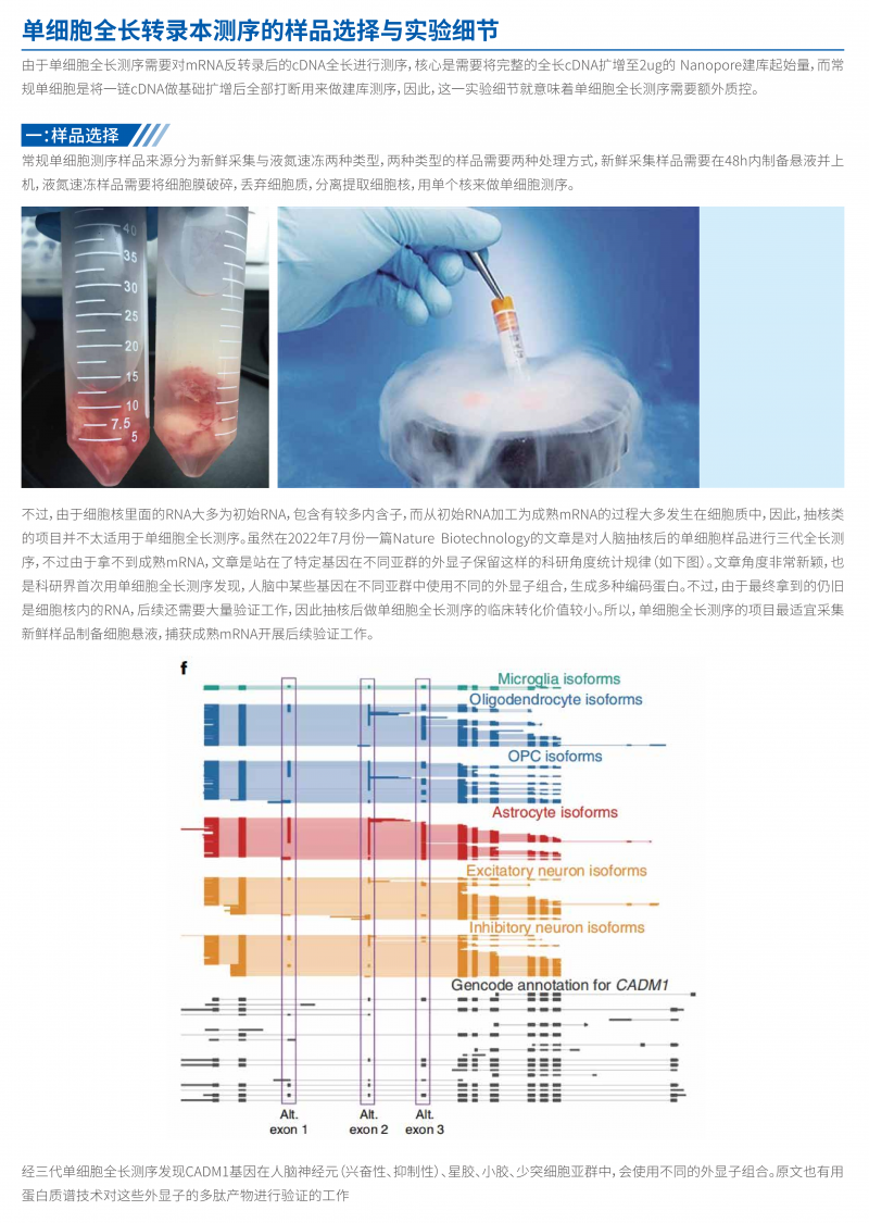 单细胞全长转录组测序技术简介 6