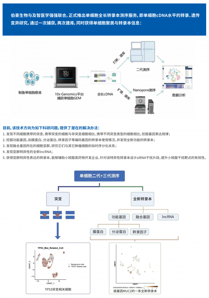 单细胞全长转录组测序技术简介 2