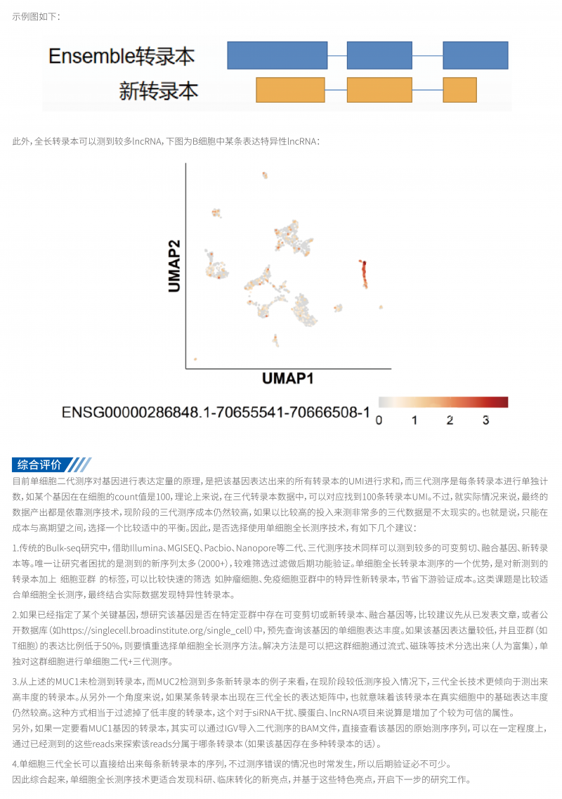 单细胞全长转录组测序技术简介 12